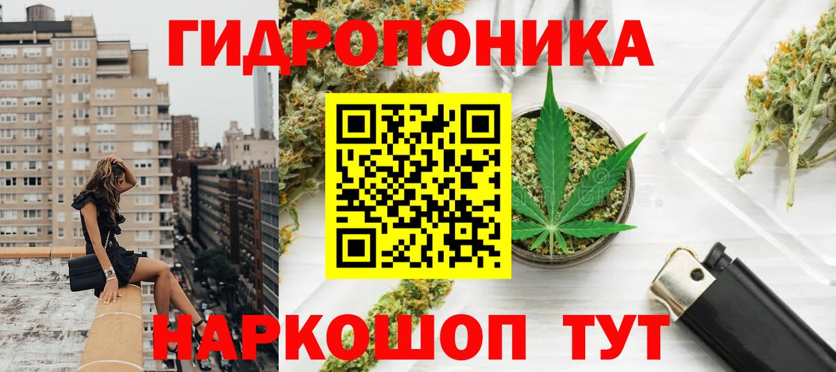 Бошки Шишки тримм  Вход с VPN  Новотроицк  Марихуана ГИДРОПОН 